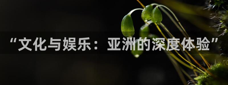 银河官网