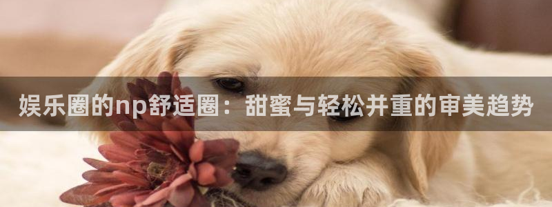 银河官网